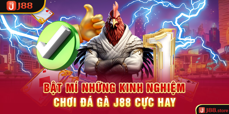 Bật mí những kinh nghiệm chơi đá gà J88 cực hay